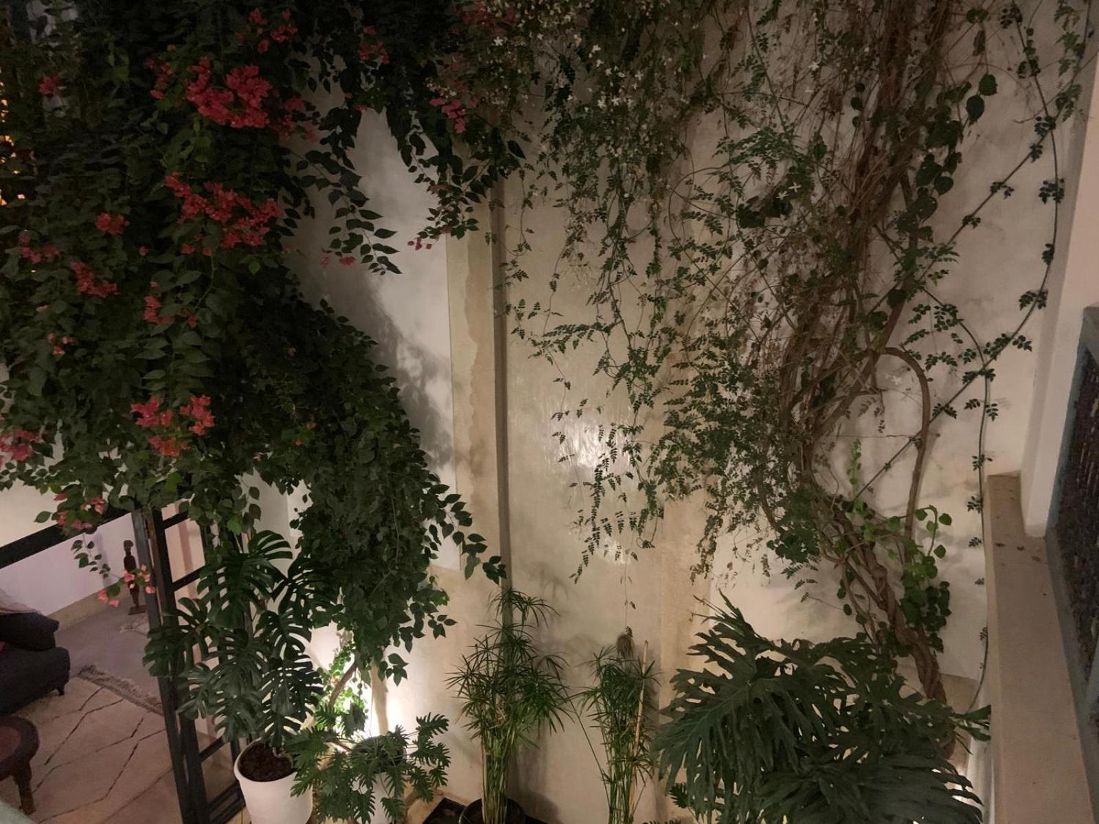 Le Petit Pacha Hotel Marrakesh Exterior photo